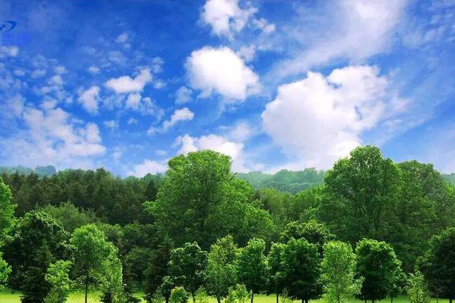 高考地理气候核心考点梳理,掌握判定方法与提分技巧