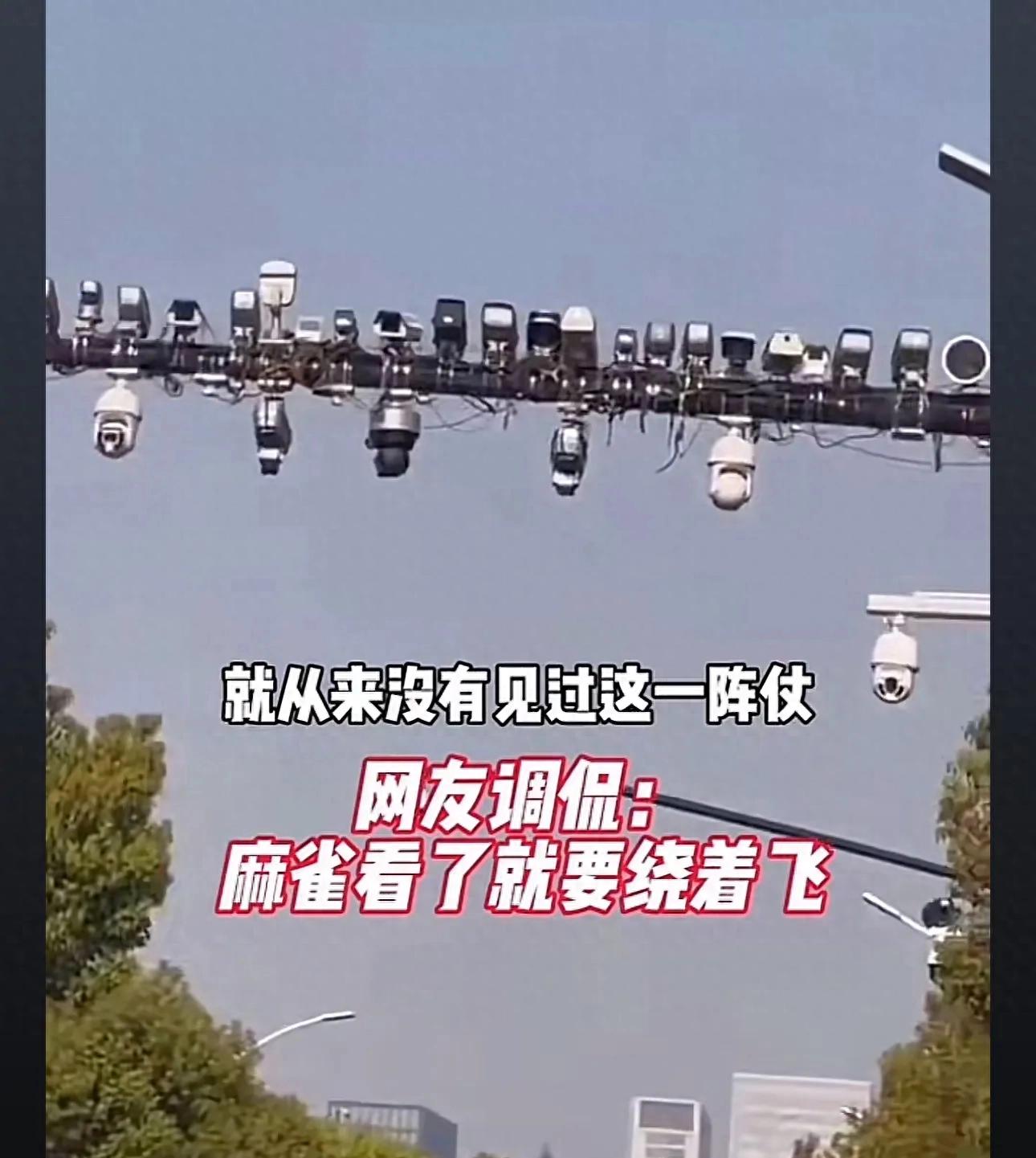 别慌！摄像头闪一下大多不是拍违章，真相在这儿