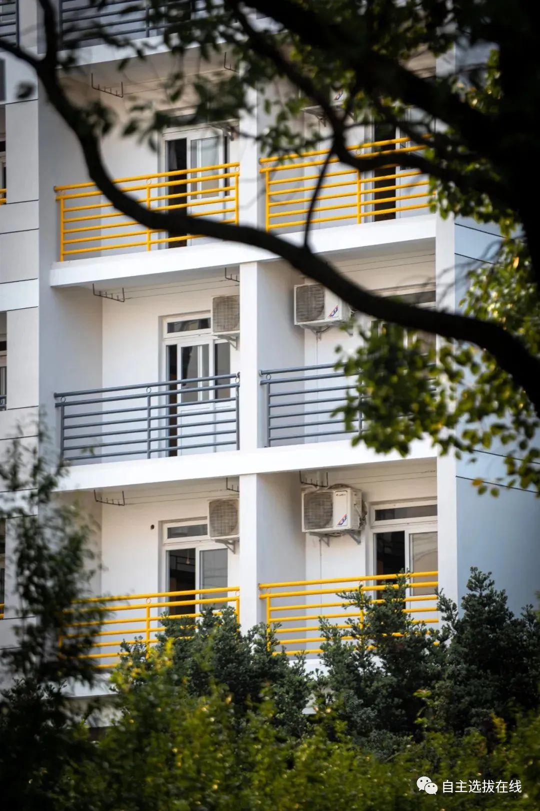 高考报志愿必看!这些大学宿舍环境,你想住哪一间?