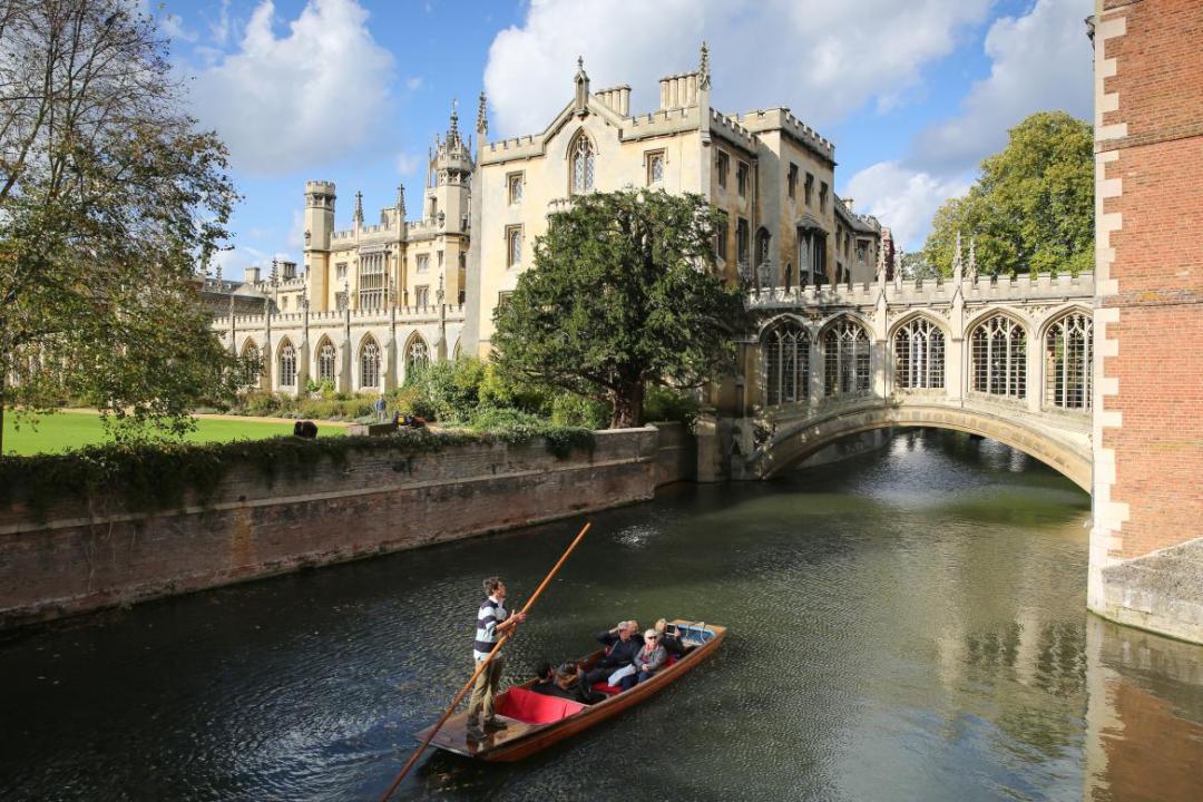 重庆大学举办全球教育交流周,助同学了解国际交流项目