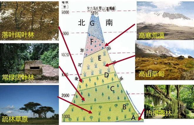 高考地理山地垂直带谱考点：基带、带谱复杂度等核心知识