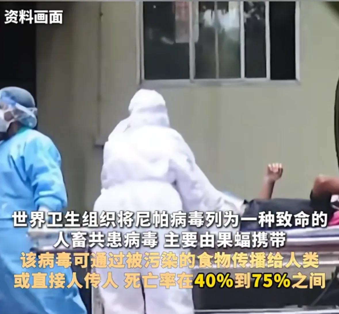 印度尼帕疫情爆发!致死率最高75% 出行必看